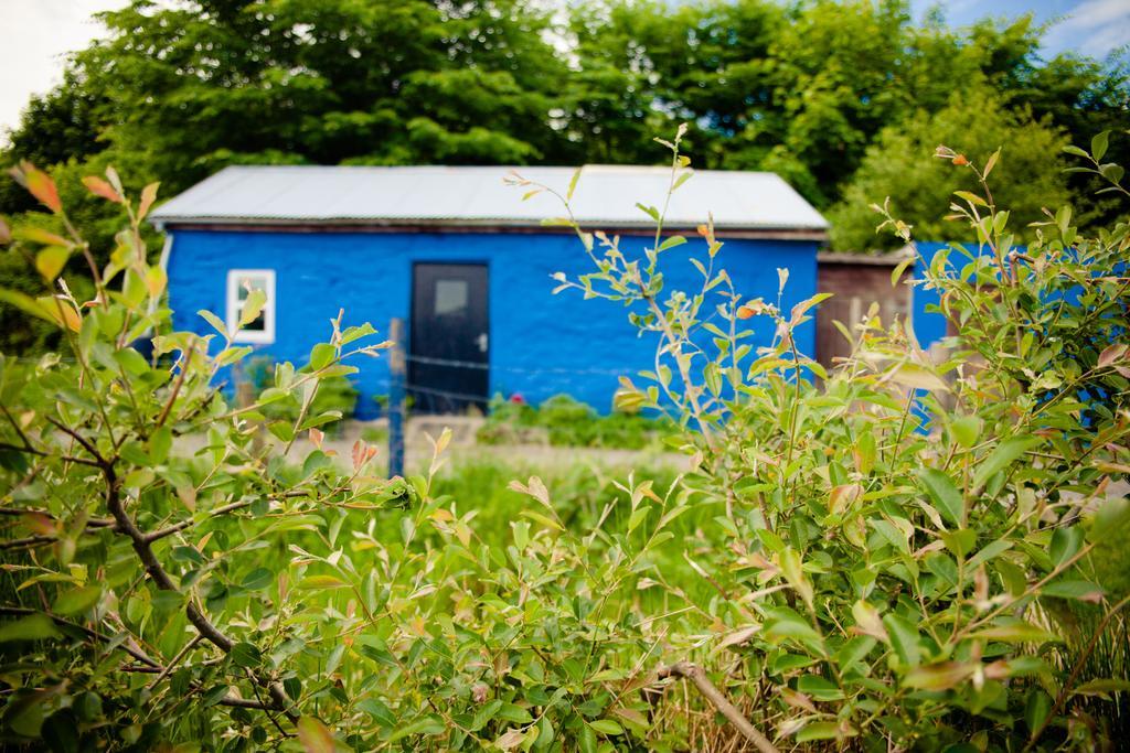 The Snowdon Inn - Y Fricsan Cwm-y-glo Room photo